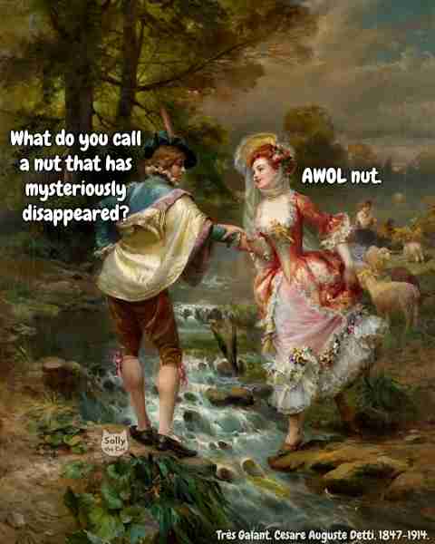 A nut that disappears without warning is AWOL nut.