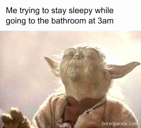Me trying to stay sleepy while peeing at 3am.