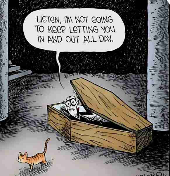Dracula keeps having to let the cat out.