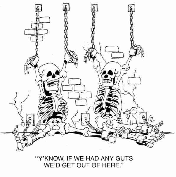 Skeletons are afraid to do anything cause they don't have any guts